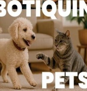 Captura de pantalla 2025-08-20 183342